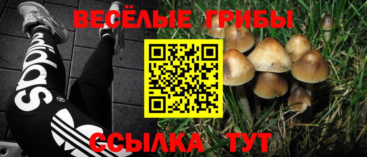 Галлюциногенные грибы Magic Shrooms  Вход с VPN  Корсаков  Галлюциногенные грибы мицелий 
