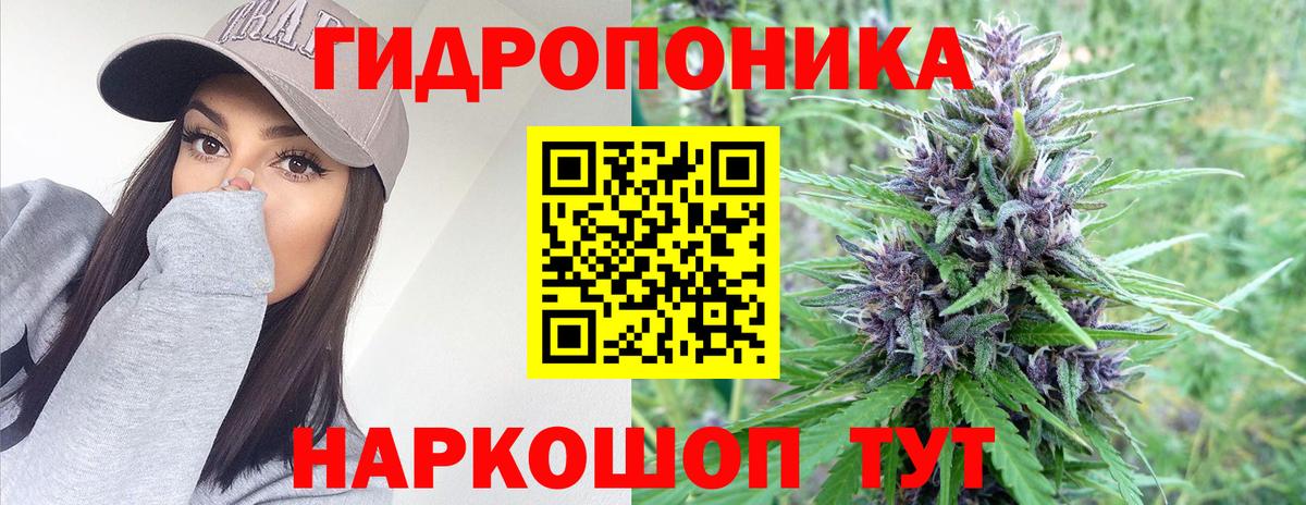 Бошки Шишки планчик Корсаков
